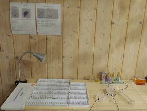 Heilpraxis Plodzien Einrichtung